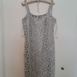 Elegant Lace Overlay Dress in Gray